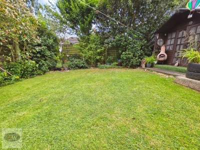 Picture 23